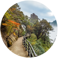 Scenic walkway